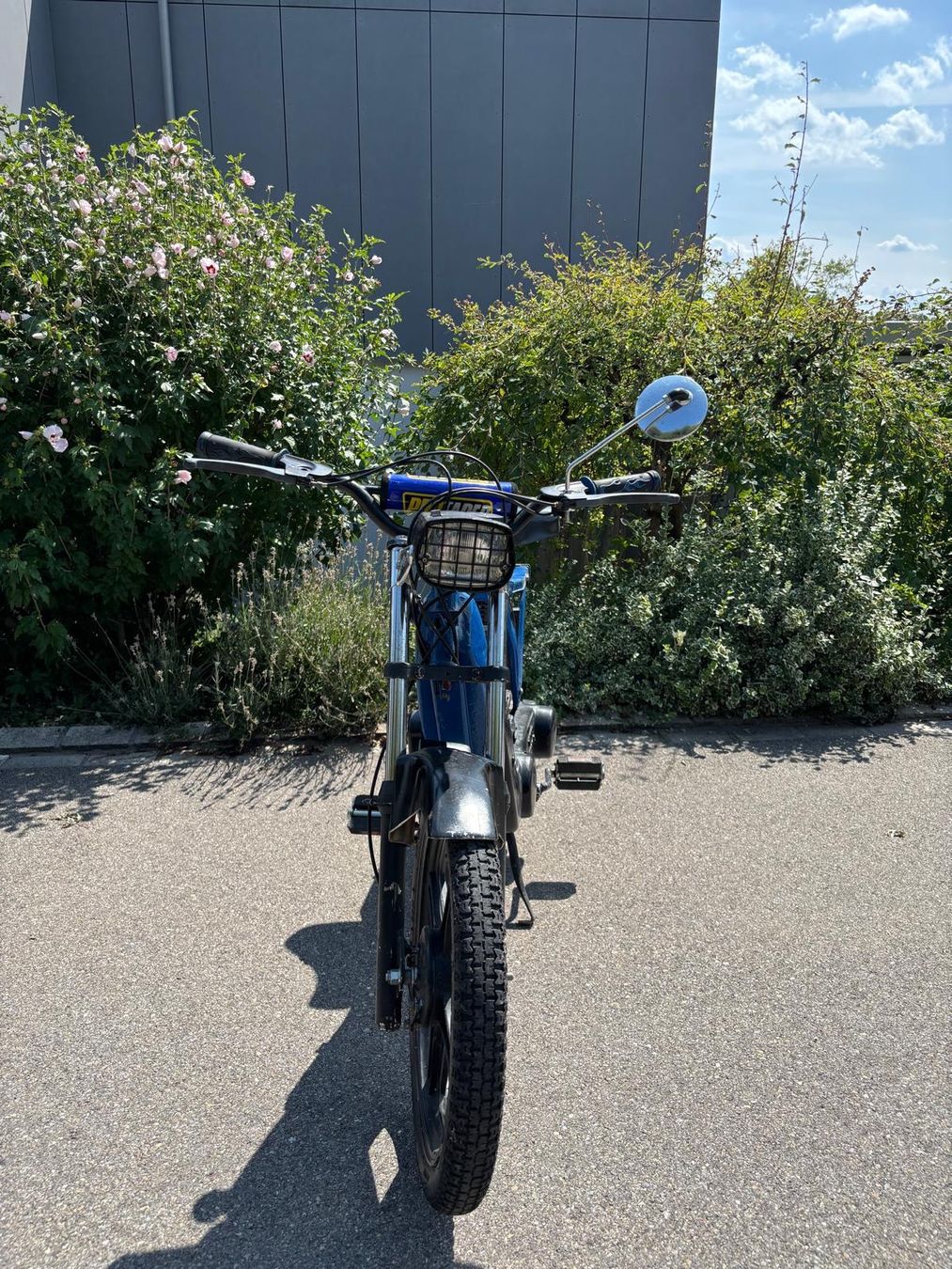 Piaggio Ciclomotori: Piaggio Ciao Mofa mit Ausweis – Usato da Dübendorf venduto da mic_l5t2 7