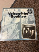Schallplatte / Voice of the Beehive / the evening show