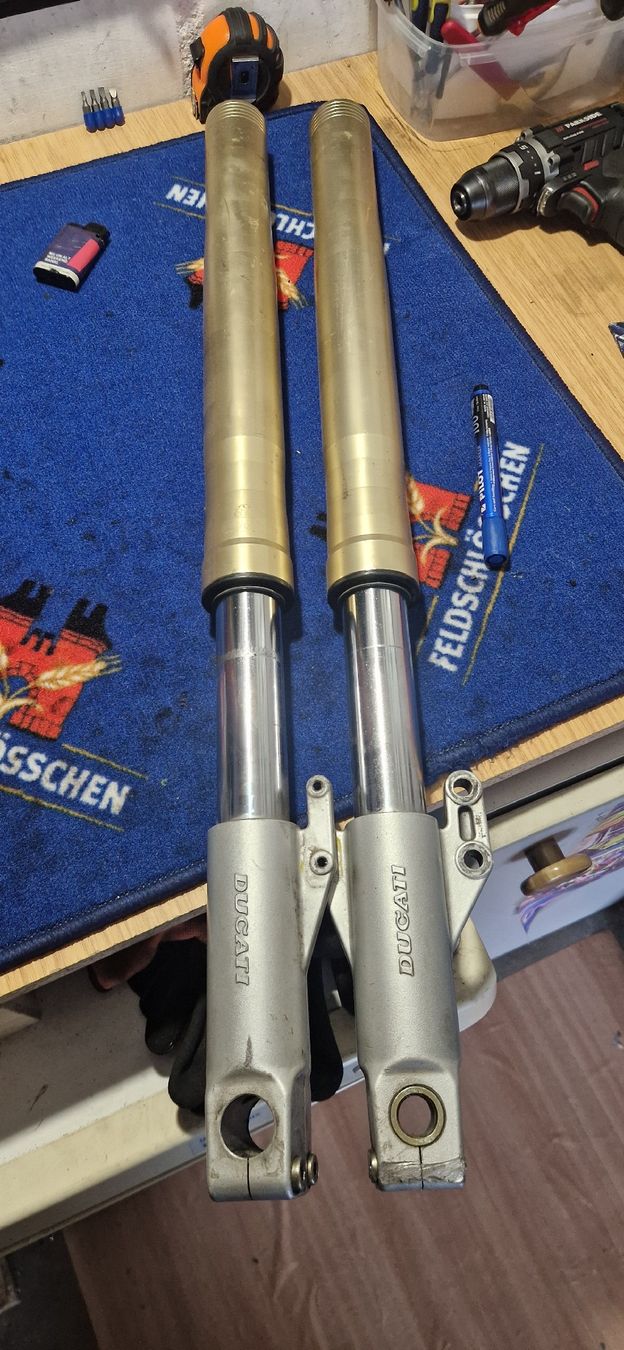 Ducati Tutti i ricambio per moto: Ducati monster Gabelbeine – Usato da Emmenbrücke venduto da pie998 1