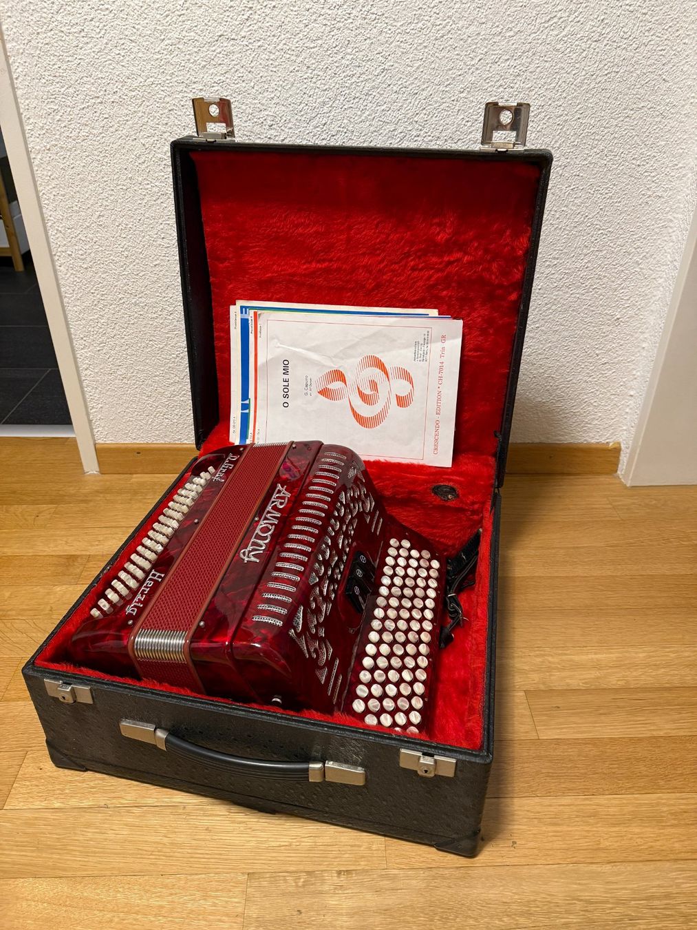 Instruments de musique: Akkordeon Herzig D. Graf – D'occasion à Walkringen par Chester007