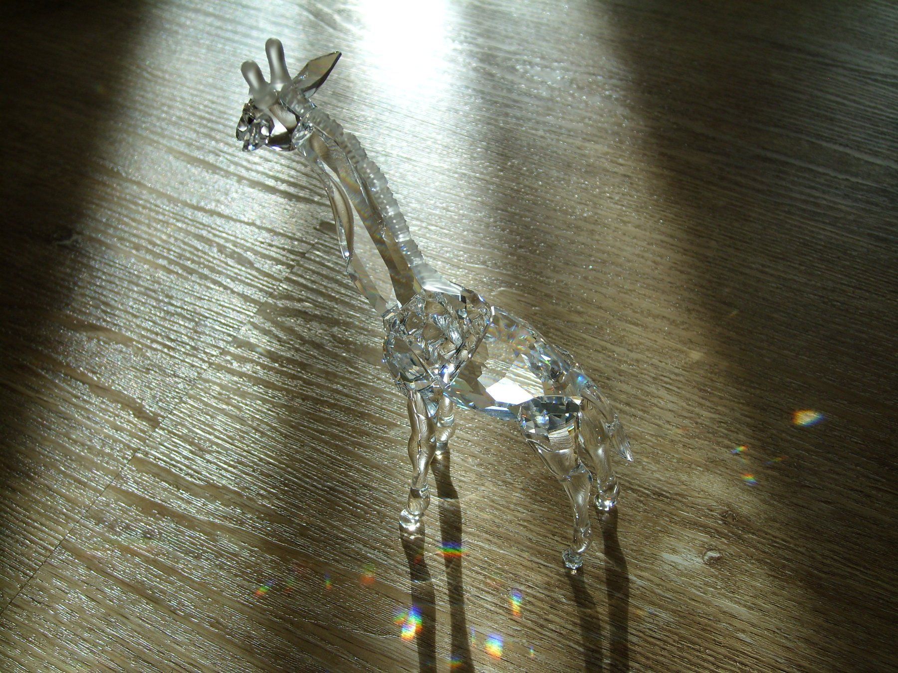 Swarovski Statuette: Swarovski Giraffe – Nuovo (secondo la descrizione) da Thierachern venduto da Shila99 3