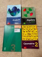 Mathe-Lehrmittel fürs Gymnasium, guter Zustand