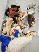 Grosses Paket Plüschtiere - Verschiedene Grössen!