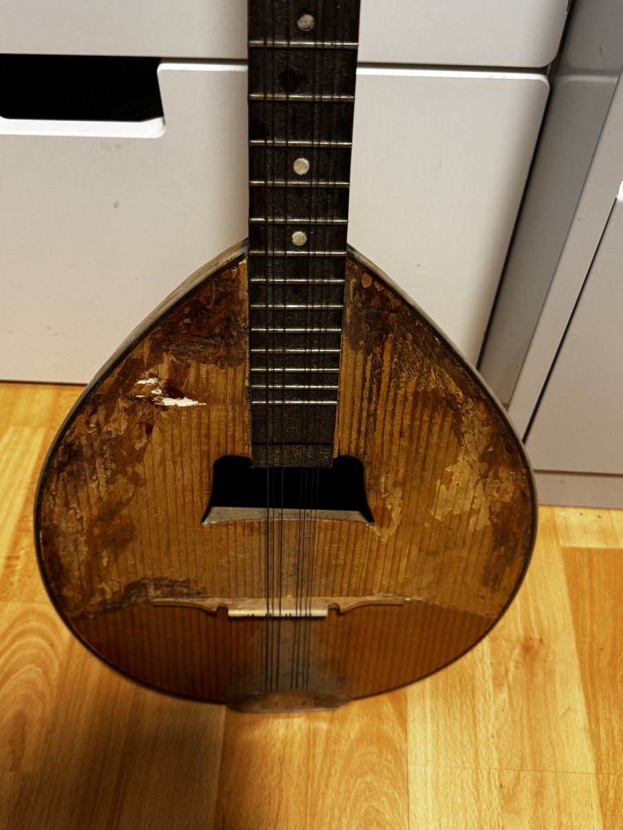 Strumenti musicali: Mandoline Saiteninstrument   – Usato da Schlieren venduto da Eldi84 1