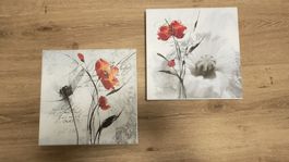 Bilder mit Moonblumen