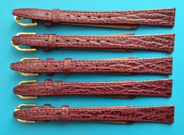 5 x Damen-Uhrenband (Bandanstoss: 12 mm)