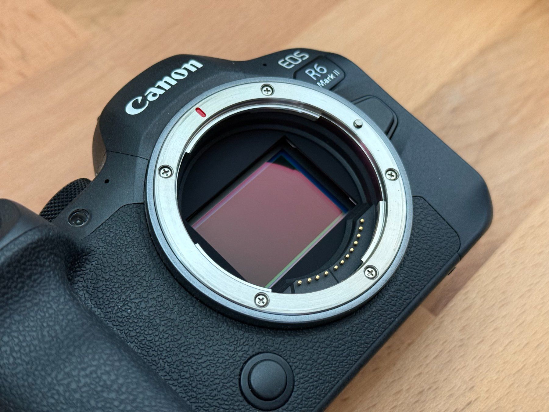 Canon Fotocamera: Canon R6 Mark II – Usato da Zürich venduto da Midpoint 4