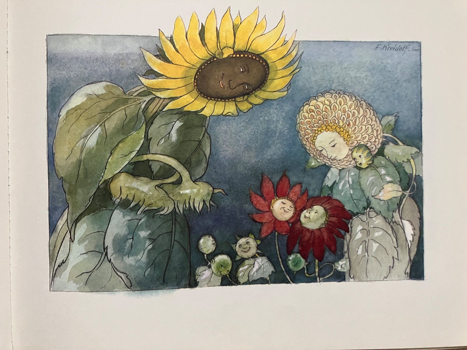 Libri: Blumenmärchen Ernst Kreidolf – Usato da Küssnacht am Rigi venduto da mon_t885 4