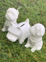 „KÄSSELI“ im Hunde - Style
