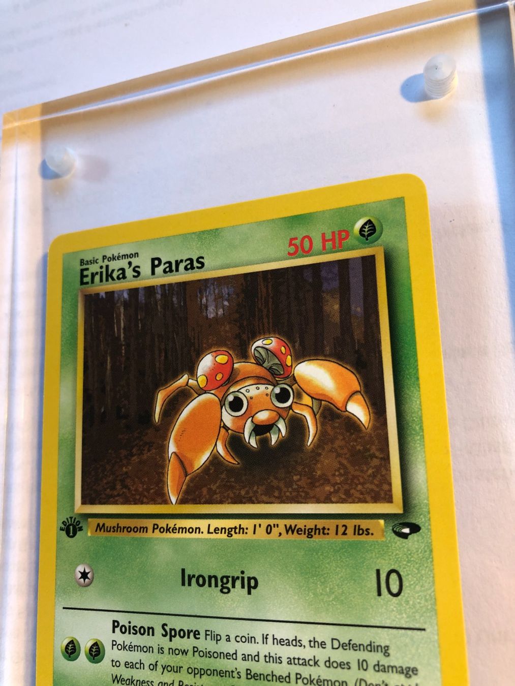 Carte collezionabili: Erika's Paras 1st Gym Challenge - MINT - ab 1.- – Usato da Giubiasco venduto da dan_pr8b 3