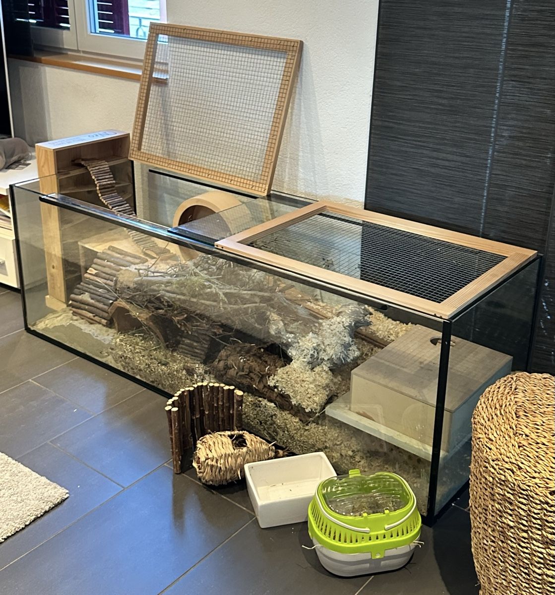 Gabbie, trasporto & Sicurezza: Hamsterkäfig, Terrarium – Usato da Hettiswil venduto da Lisch0