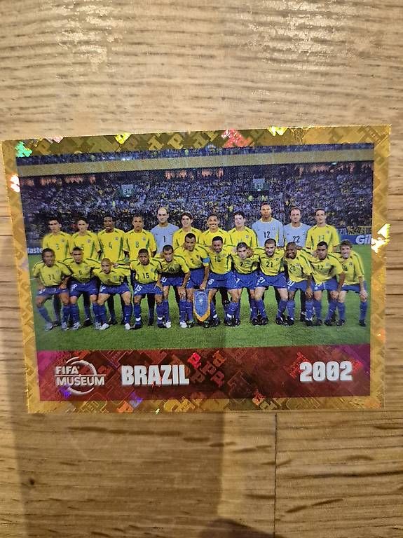 Carte collezionabili: Brazil 2002 Panini FWC 16 – Usato da Ebikon venduto da Linkus