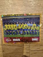 Brazil 2002 Panini FWC 16