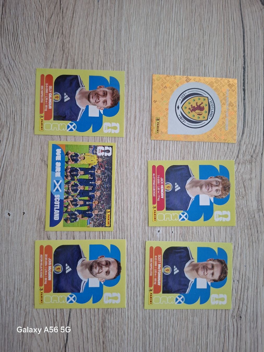 Panini Carte collezionabili: panini sco – Nuovo e nell'imballaggio originale da Vionnaz venduto da NMNB 1