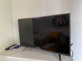 Fernseher PANASONIC Led Full-HD Android TV