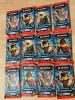 Estrichfund Ninjago Karten und 1 Sammelbox mit Goldkarte