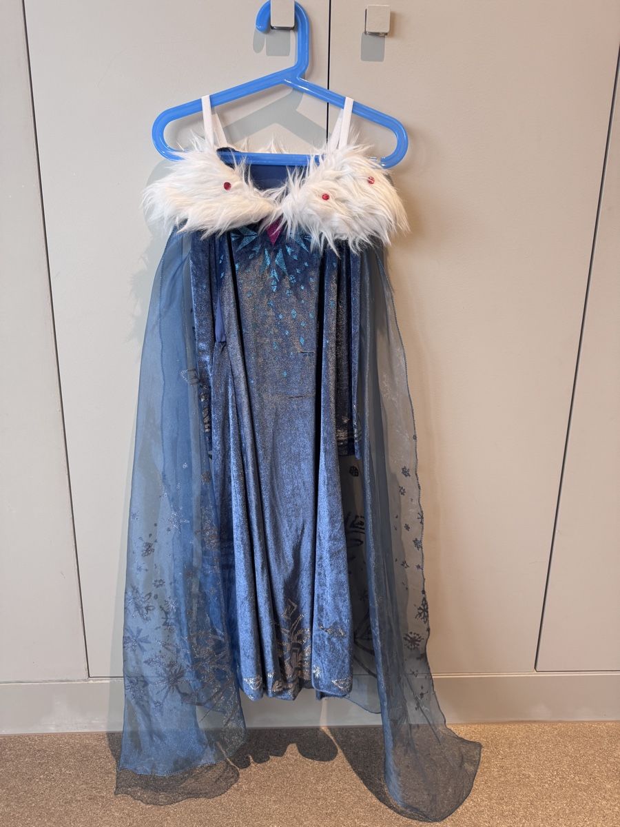 Costumi: Frozen carnival dress – Usato da Ruvigliana venduto da lux_t2sb