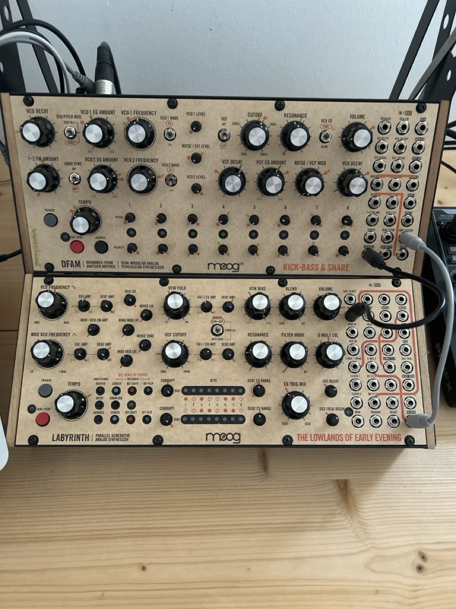 Moog Musikinstrumente: Moog dfam/labyrinth – Gebraucht aus st.gallen von closedArt