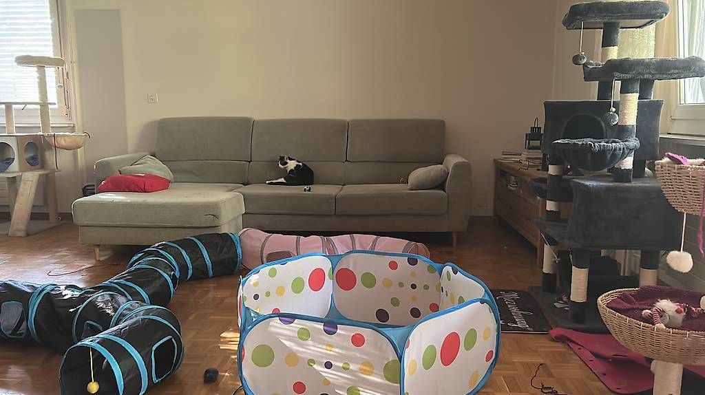 Sofas: IKEA 3Sitzer Sofa hellgrau  – D'occasion à Allschwil par tan_p5r7 1