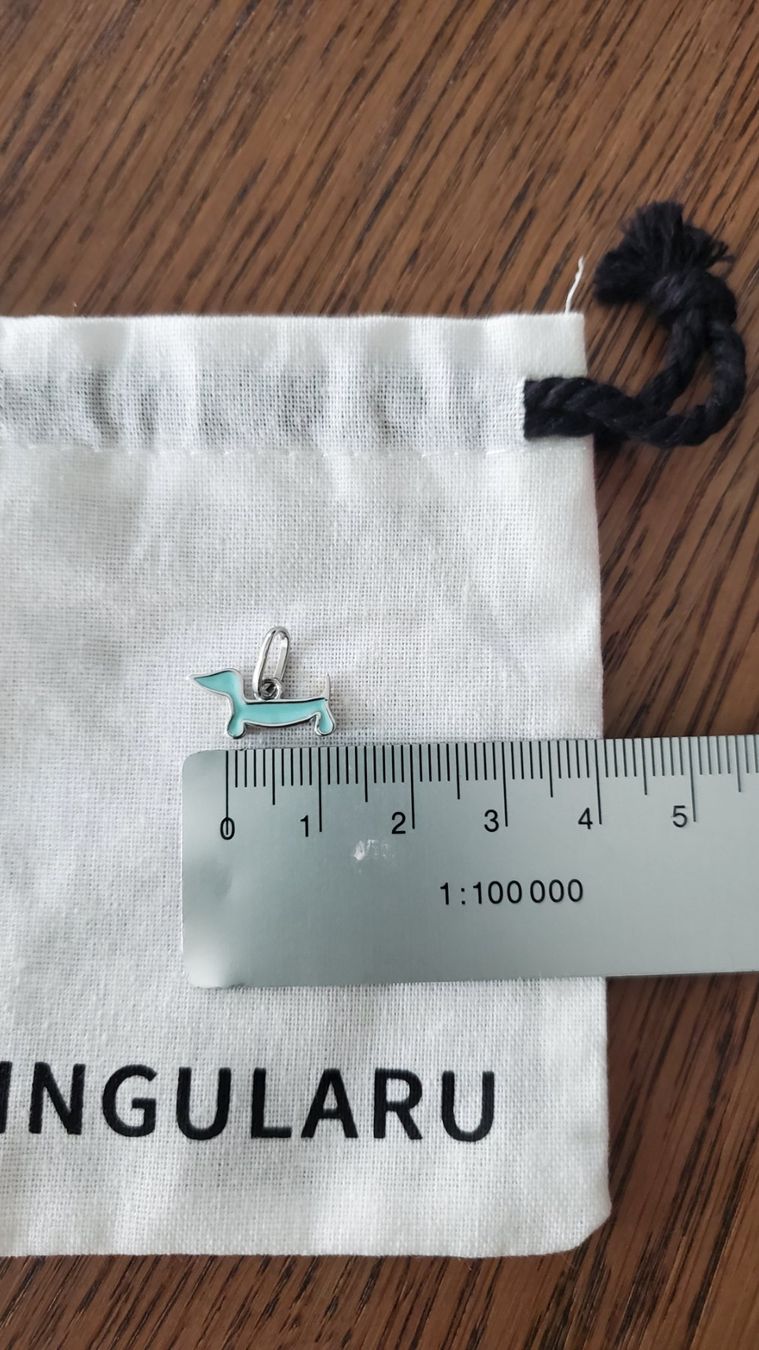 Anhänger: Anhänger Hund Silber – Neu und originalverpackt aus Interlaken von mar_65xg 1
