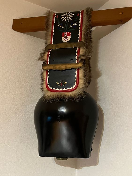 Trychel mit besticktem Lederband Gr. 13 (Gebraucht) in Ennetbürgen für ...