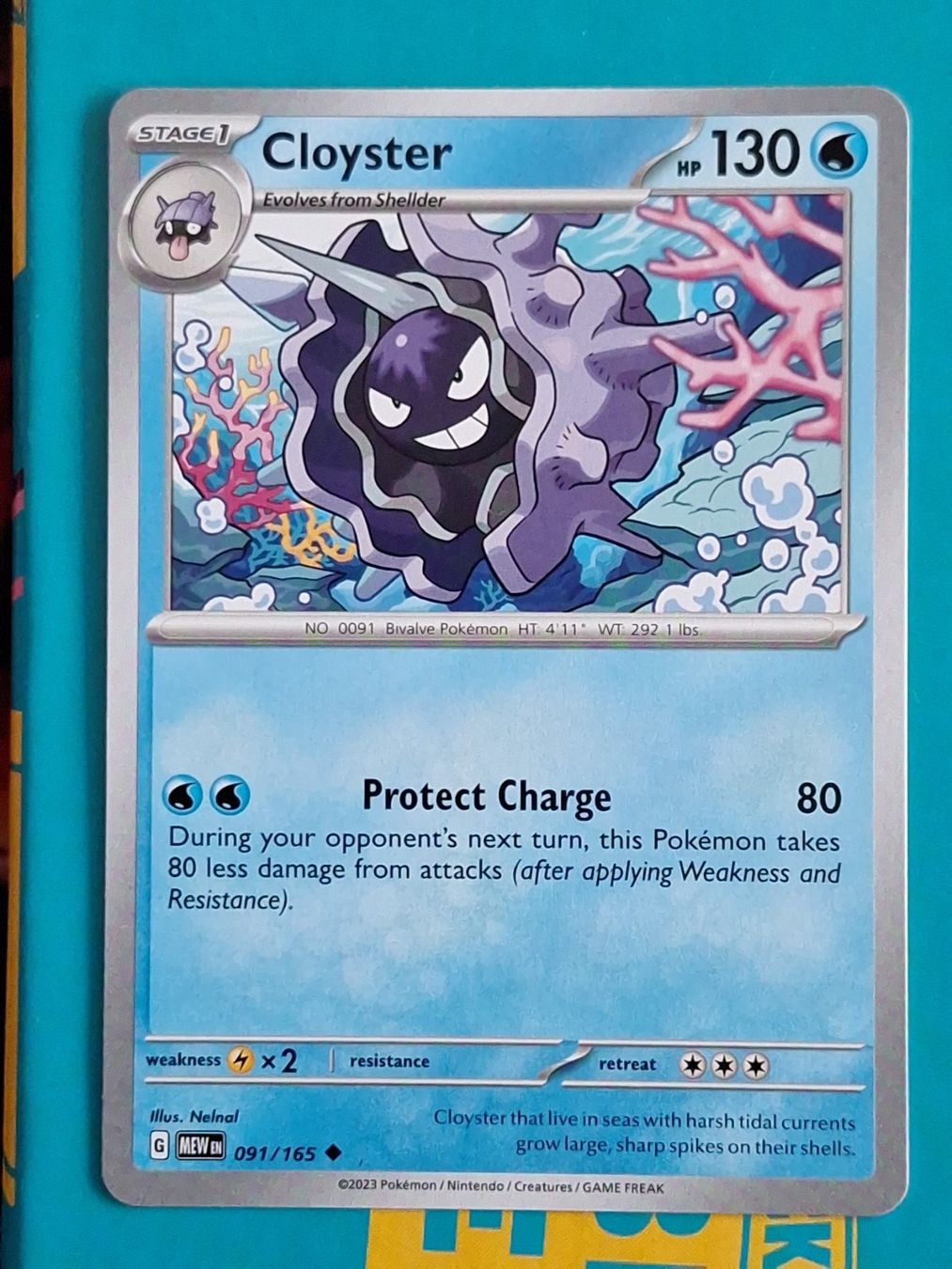 Pokémon Sammelbilder & Trading cards: Cloyster - Pokemon Mew 151 Englisch – Gebraucht aus Altstätten SG von GGsGameshop