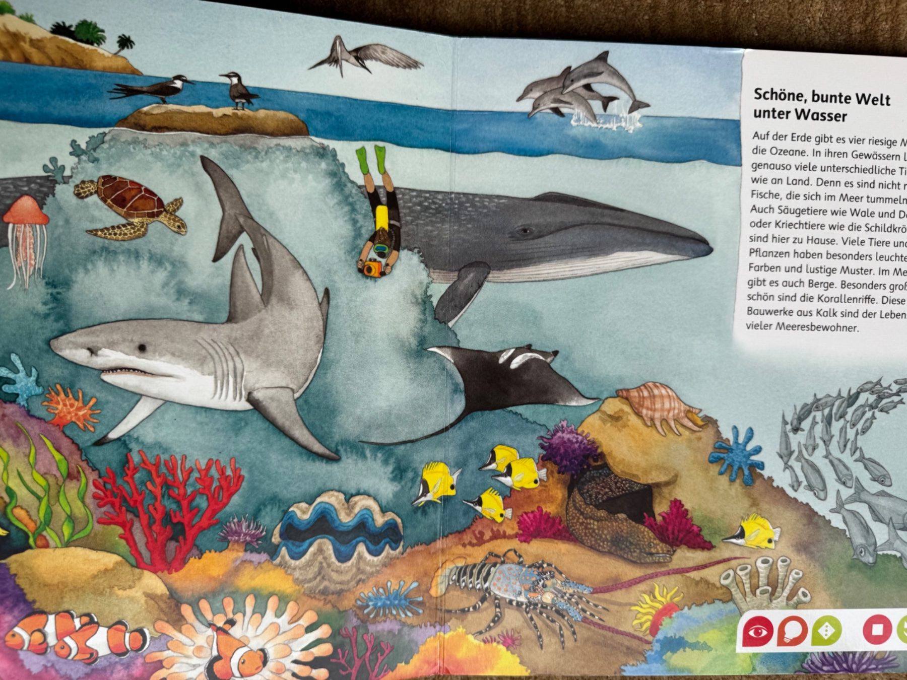 Libri: Tiptoi - Bilderlexikon Tiere – Usato da Aarau venduto da Kilauea 6