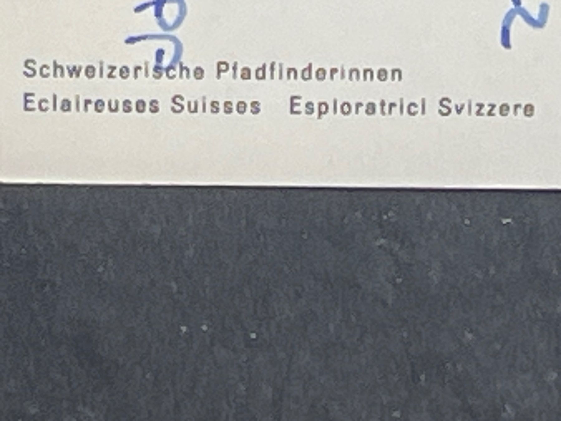 Ansichtskarten: Ansichtskarte: Schweizerische Pfadfinderinnen – Gebraucht aus Widnau von Brusi9 2