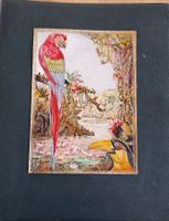 Album d'art: Oiseaux Amazonie 1900-1906 - Rare!🦜🌴🌊