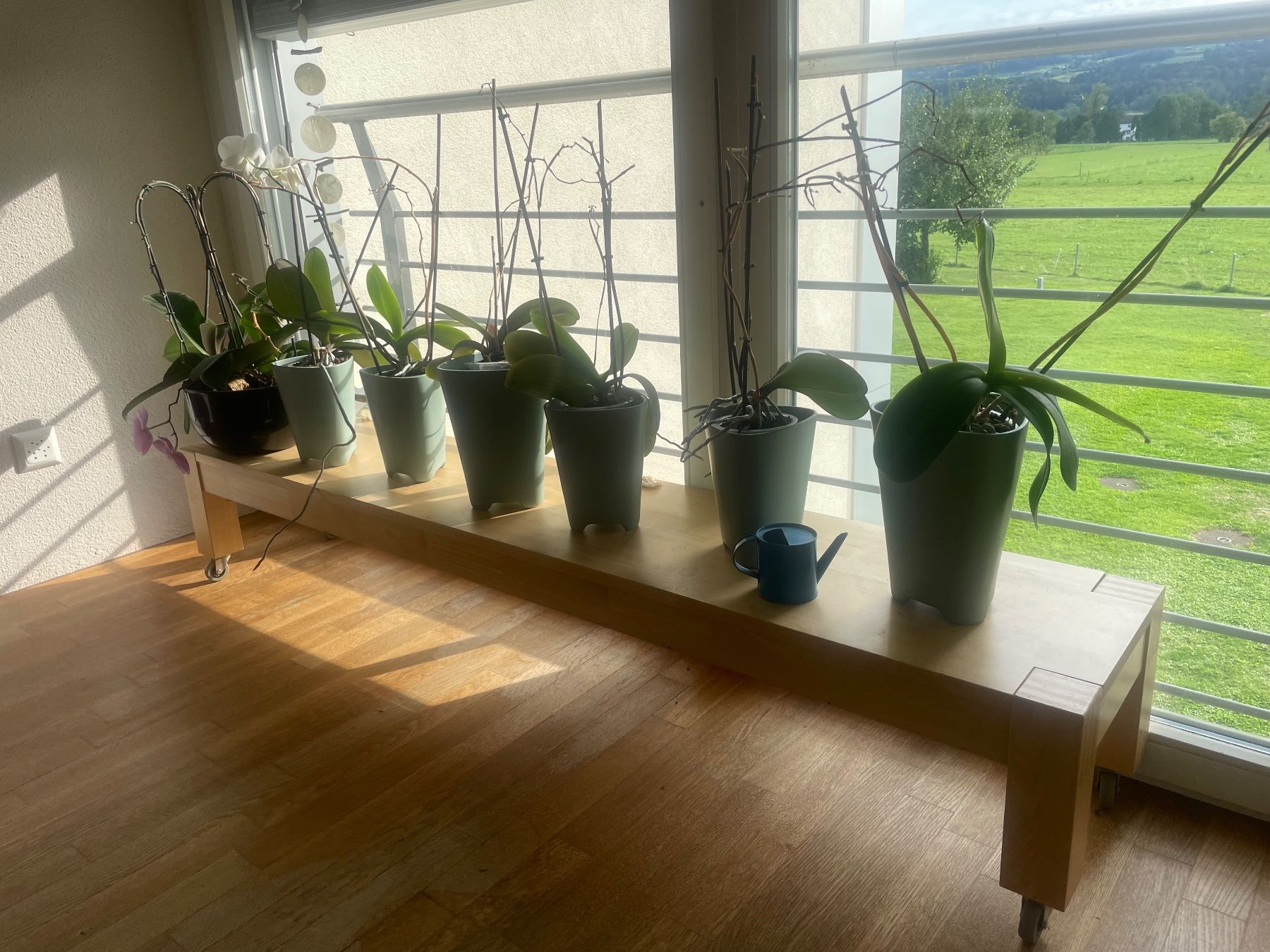 Panchine: Orchideenbank – Usato da Uster venduto da ruehan