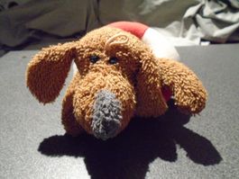 Hund mit Schwimmring, Süsstoff, braun