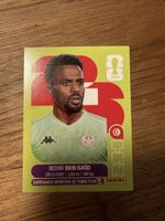 Panini Fifa TUN2