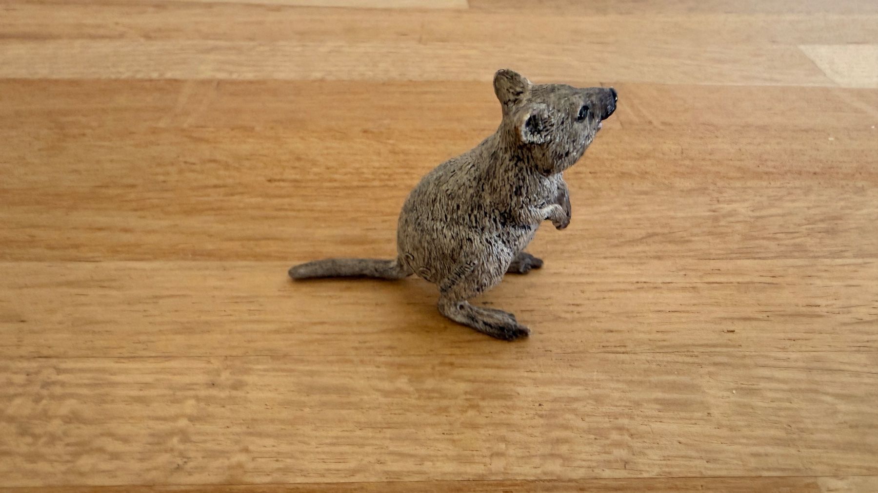 Schleich Spielzeuge: SCHLEICH - Quokka 14823 – Gebraucht aus Winterthur von Secondhand-Family 4