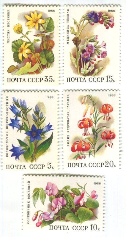 Tutti i francobolli: Briefmarken "Blumen". UdSSR – Nuovo e nell'imballaggio originale da Basel venduto da Butsch5