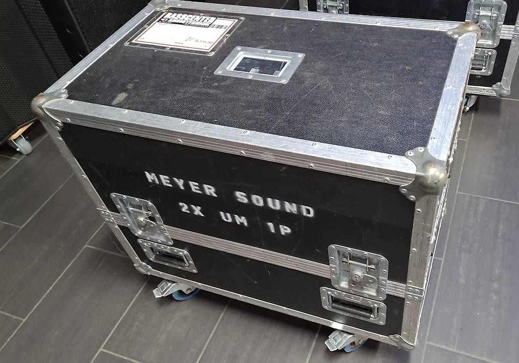 Casse acustiche: Meyer Sound UM1P – Usato da Schlieren venduto da Basscenter 7