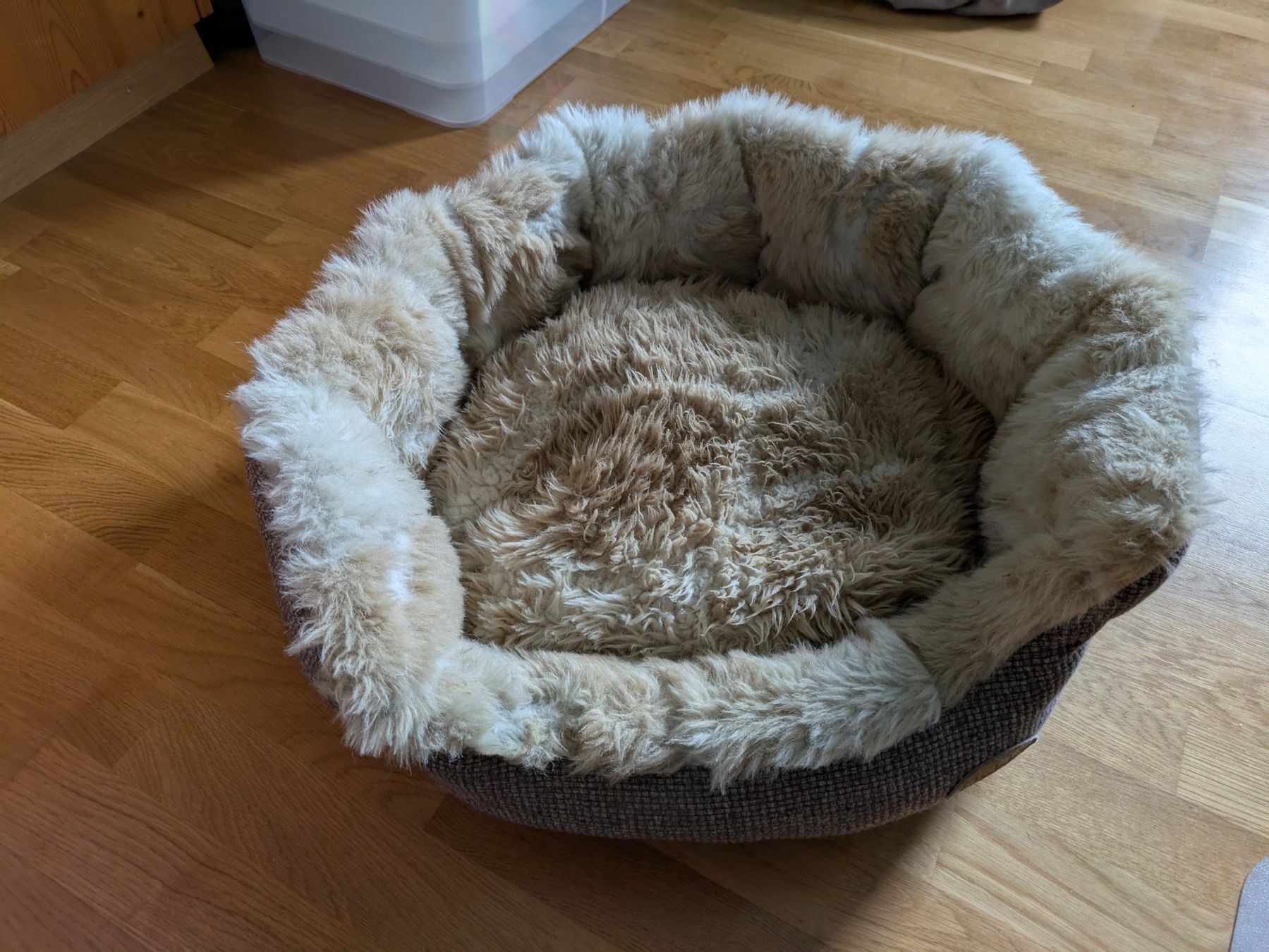 Liege- & Schlafplätze: Hunde- oder Katzenbett – Gebraucht aus Trin Mulin von iri_bb7c 2
