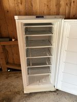 Tiefkühlschrank Bauknecht