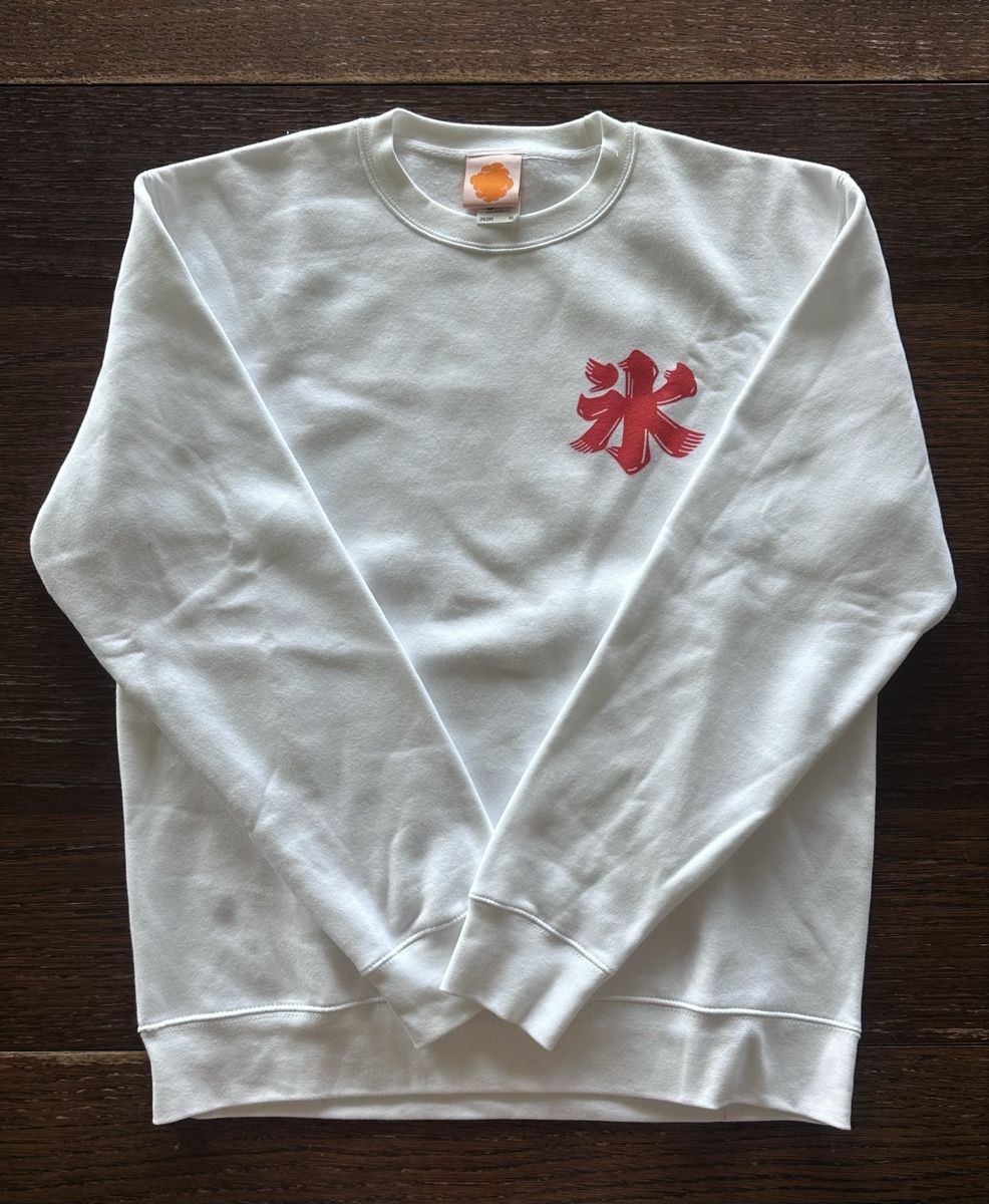 Pulls & Sweat-shirts: Cozy Pullover – Neuf avec emballage d'origine à Zürich par davozn