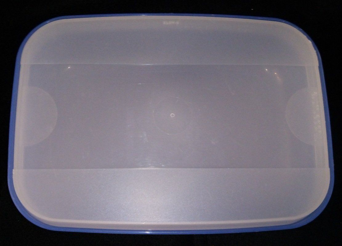 Tupperware Contenitori & Simili: TUPPERWARE Lunchbox blau 700 ml – Usato da Werdenberg venduto da EXA-Secondhand 1