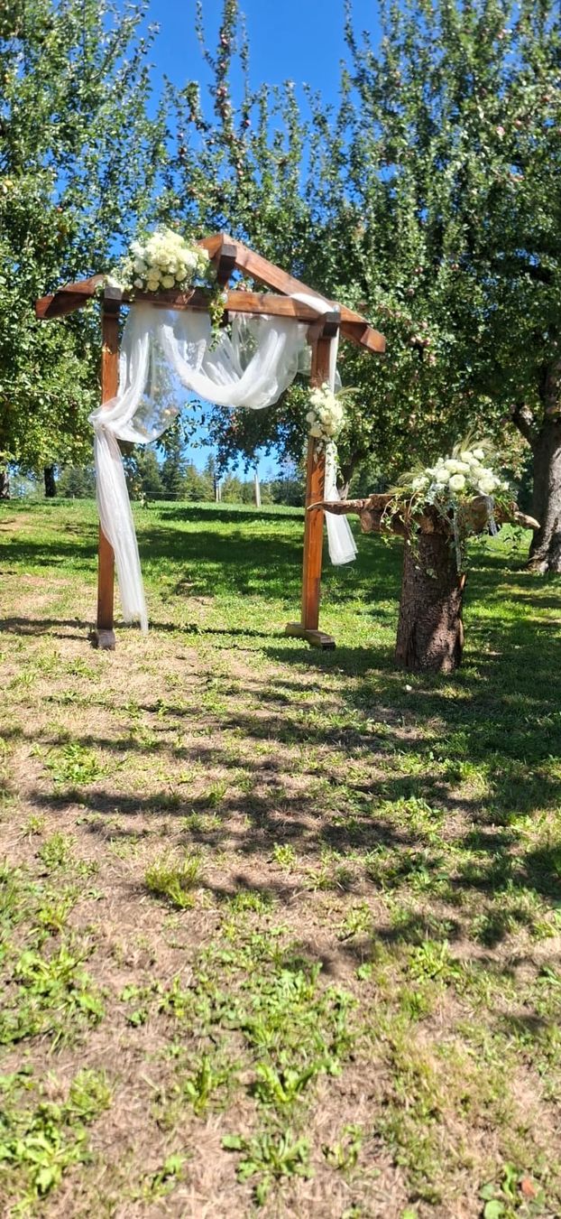 Alle Dekorationen: Hochzeitsbogen – Gebraucht aus Plaffeien von st200