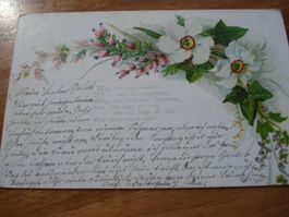 Kitschkarte Blumen 1903, farbig, o Neftenbach
