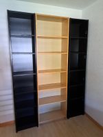 Regale inkl. Türen IKEA Billy