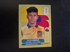 Panini WM 26 ECU 17