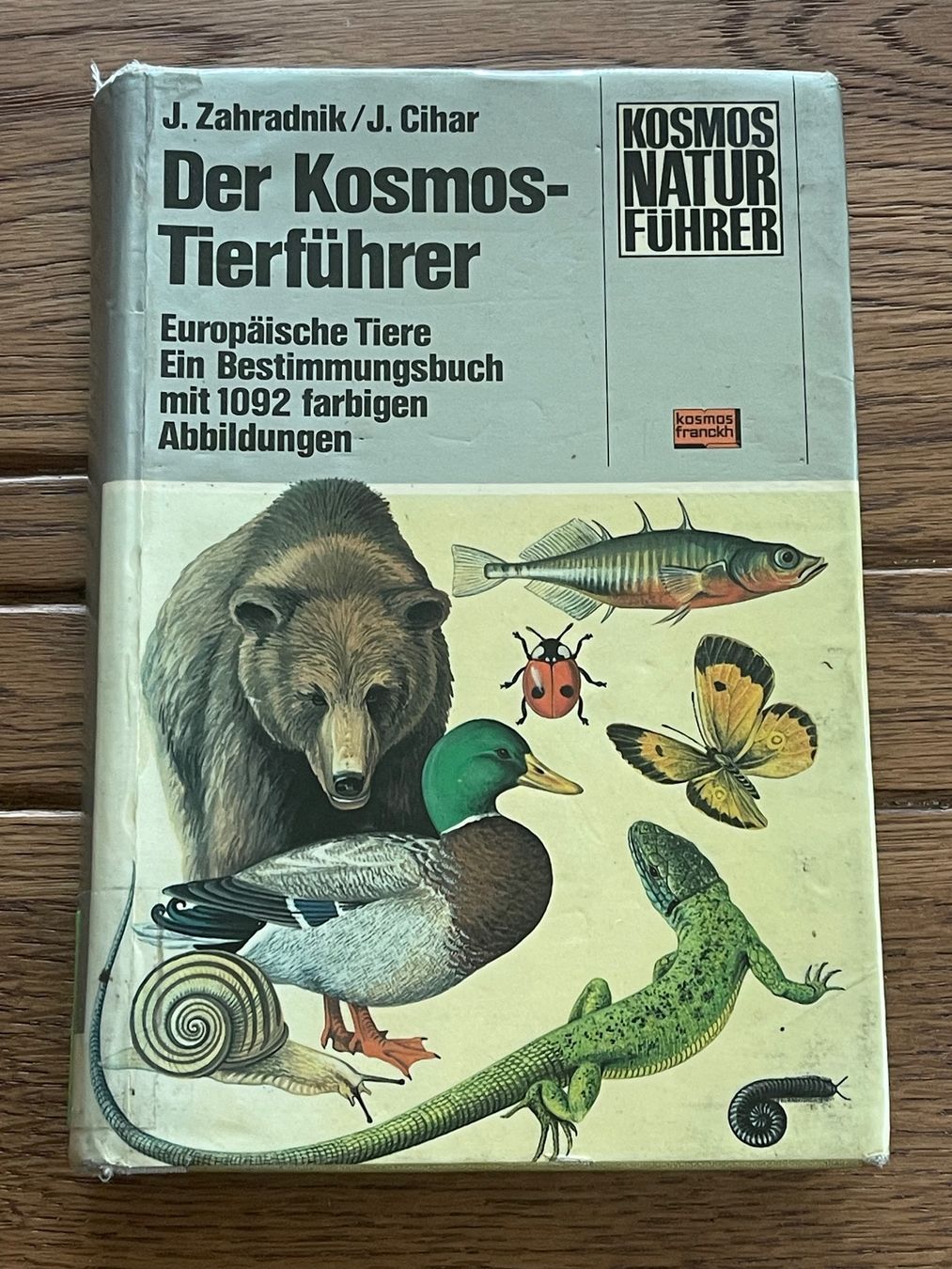 Bücher: dicker Kosmos Tierführer Europas - Zustand gebraucht – Gebraucht aus Zuerich von Dorsi