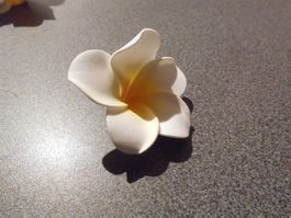 Haarspange Blüte, weiss/gelb