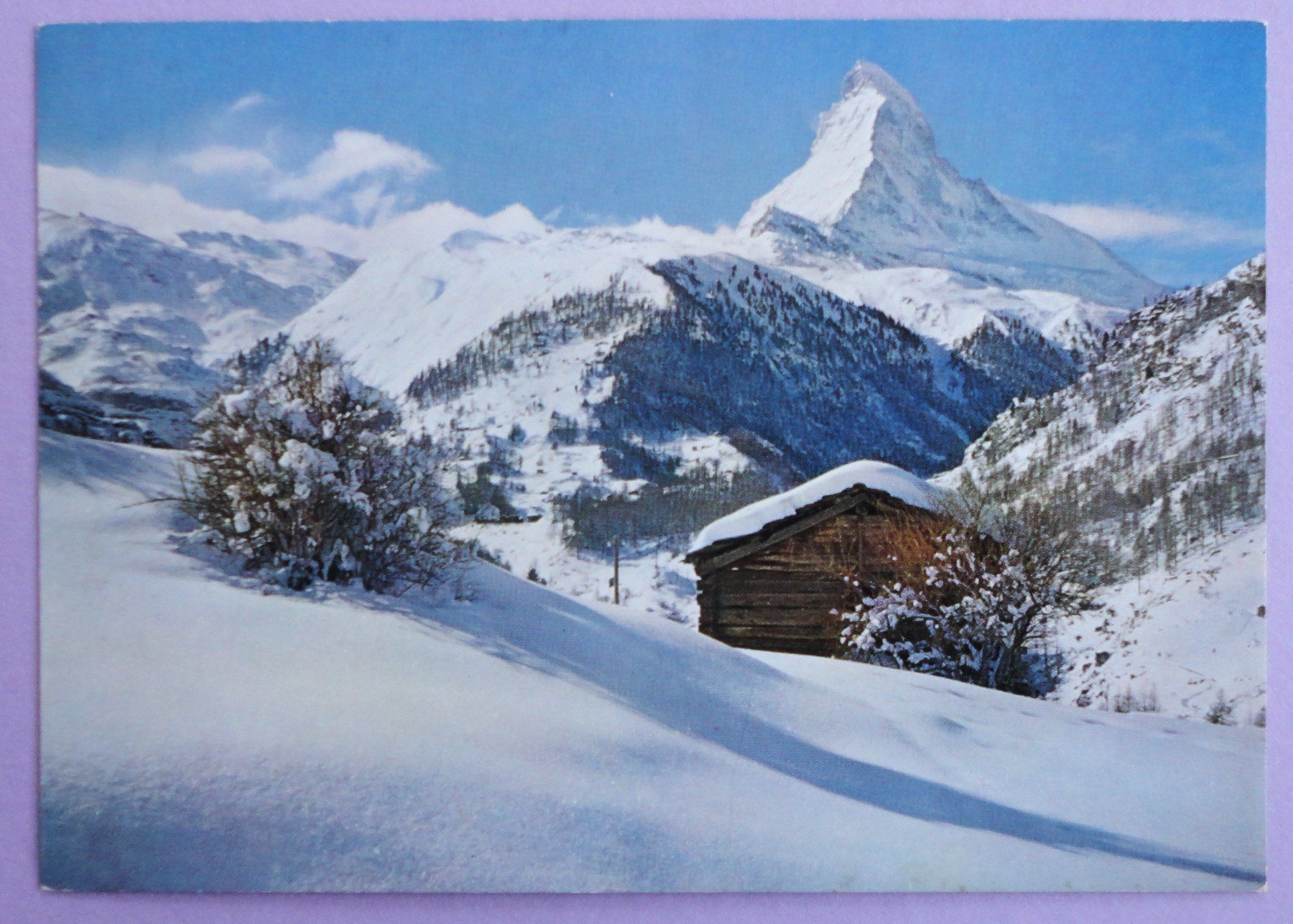 Cartoline postali: Zermatt, Winkelmatten mit Matterhorn – Usato da Fétigny venduto da Billy2miny