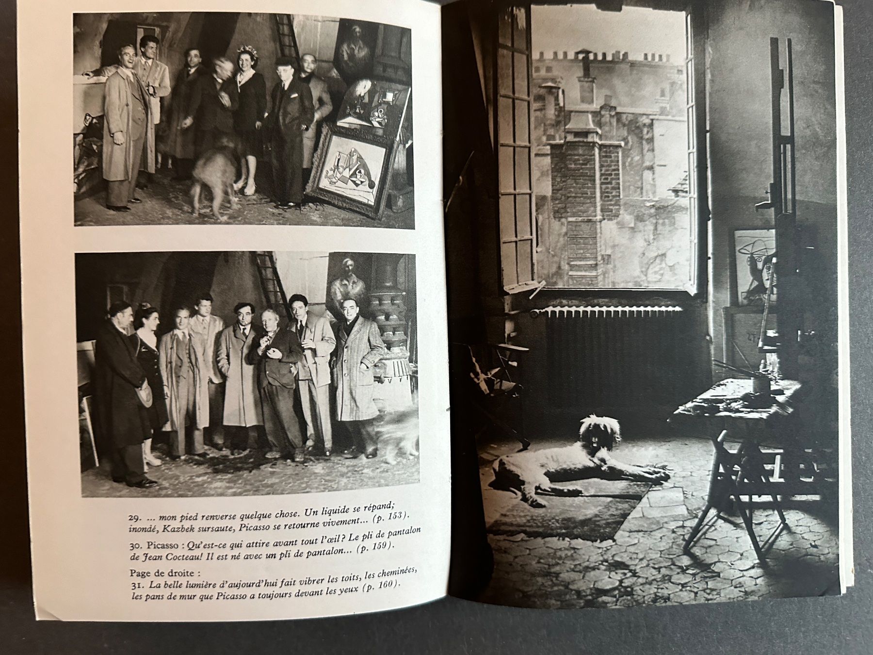 Libri: Brassaï: Conversations avec Picasso. – Usato da Zürich venduto da allp 6