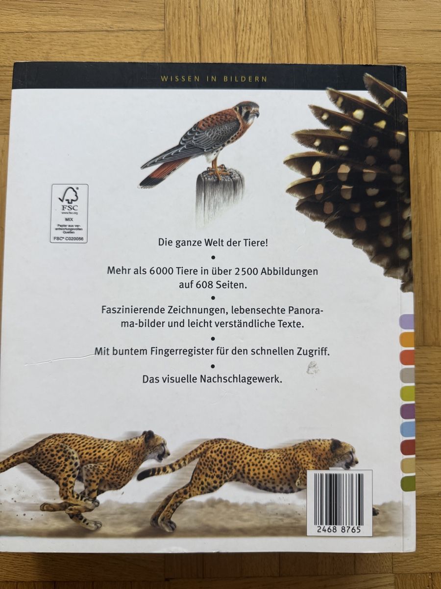 Libri: Bildlexikon Tiere – Usato da Brunnen venduto da pel_vk7g 2