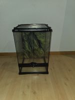 Exo Terra 45 × 45 × 60 cm mit Zubehör