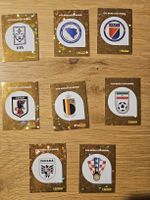 Panini world cup 2026
